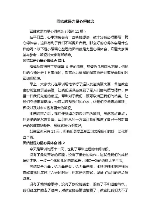 团结就是力量心得体会