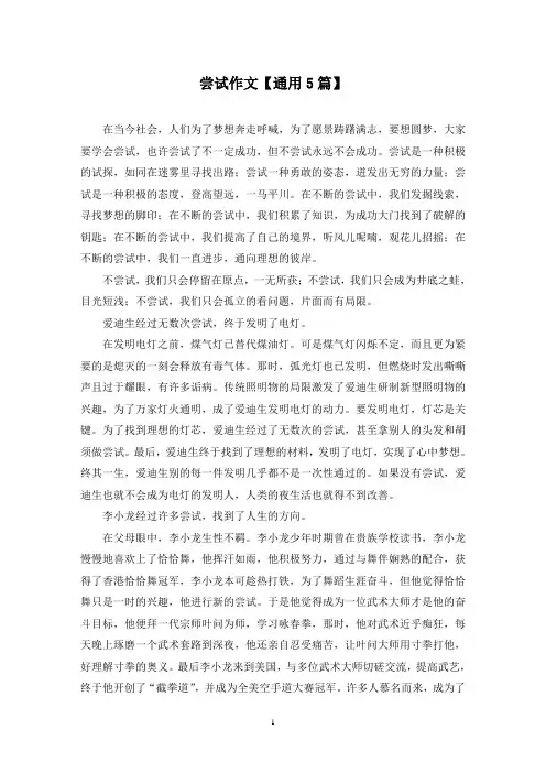 精选尝试作文【通用5篇】