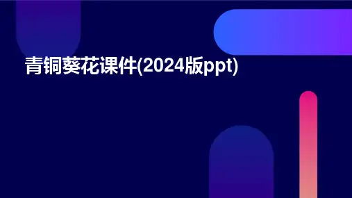 青铜葵花课件(2024版ppt)