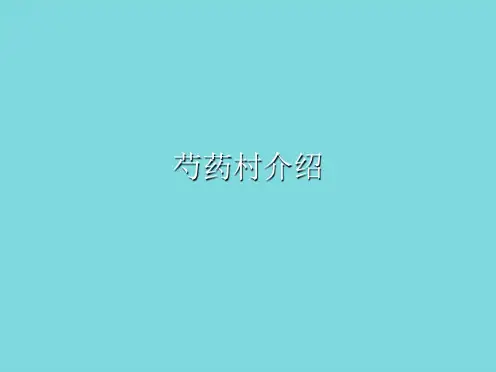 芍药村介绍(共10张PPT)