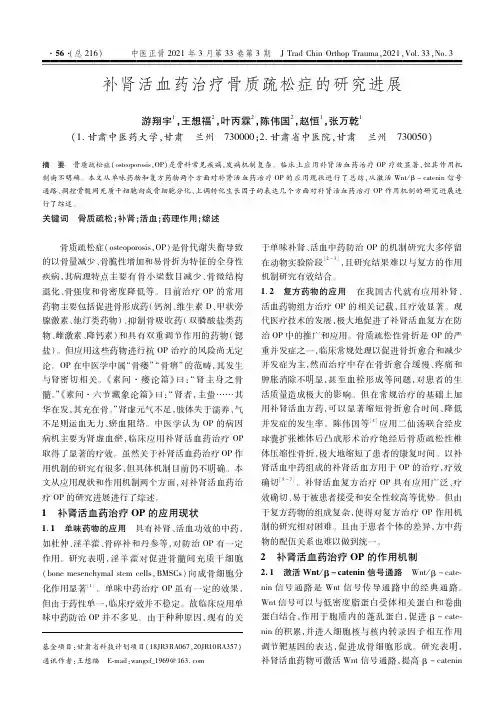 补肾活血药治疗骨质疏松症的研究进展