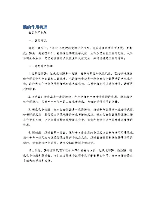 酶的作用机理