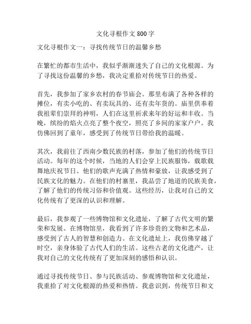 文化寻根作文800字