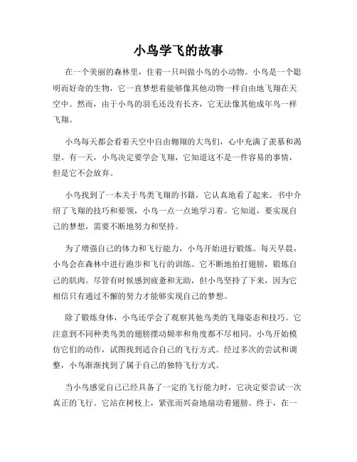 小鸟学飞的故事