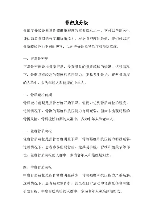 骨密度分级