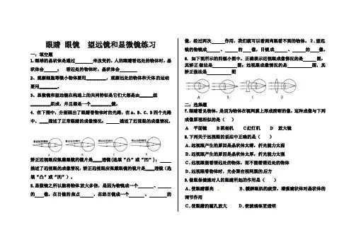 眼睛 眼镜  望远镜和显微镜练习