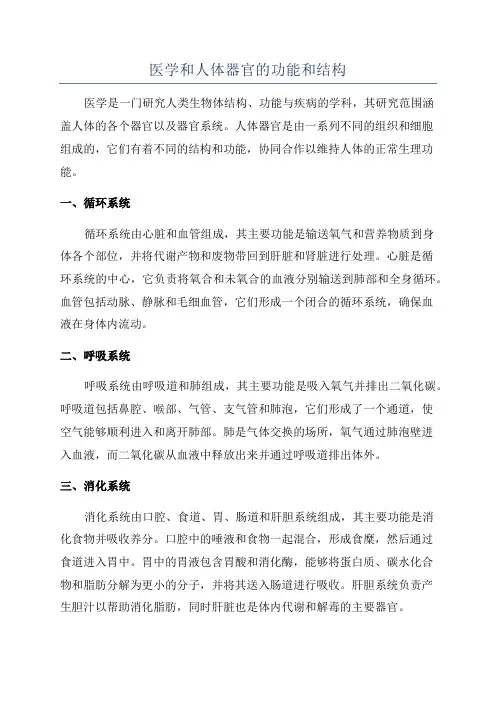 医学和人体器官的功能和结构