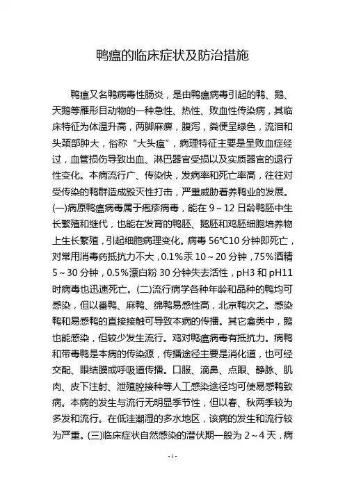 鸭瘟的临床症状及防治措施