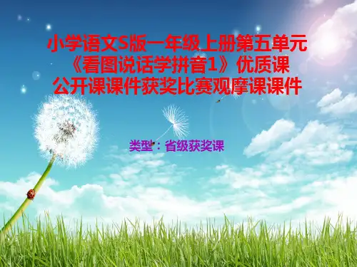 小学语文S版一年级上册第一单元《看图说话学拼音1》优质课公开课课件获奖课件比赛观摩课课件B004