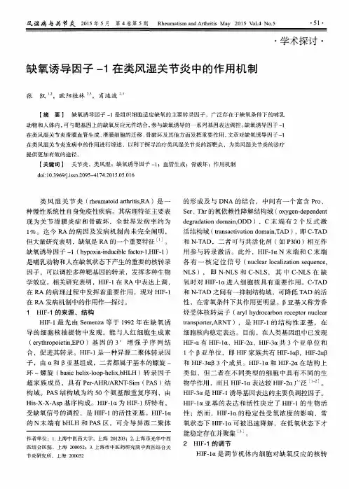 缺氧诱导因子-1在类风湿关节炎中的作用机制