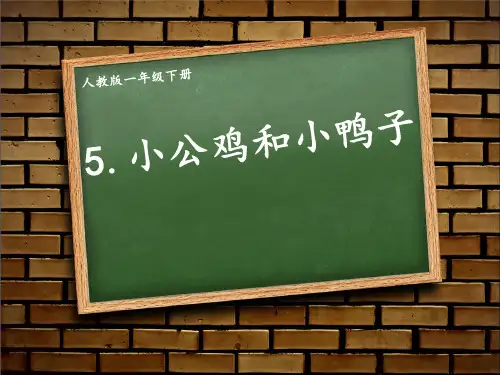 统编版一年级语文下册5小公鸡和小鸭子课件(共20张PPT)