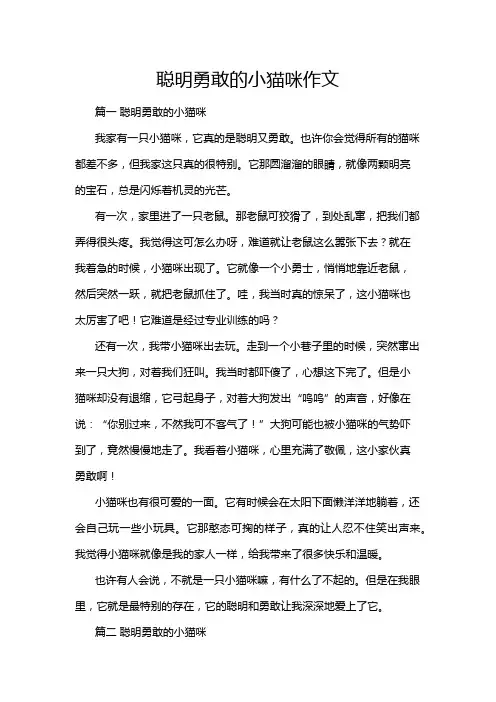 聪明勇敢的小猫咪作文