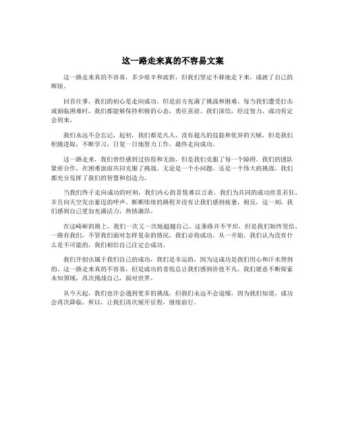 这一路走来真的不容易文案