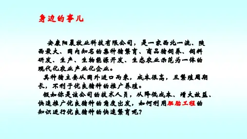 胚胎工程的主要技术