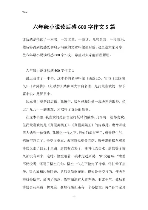 六年级小说读后感600字作文5篇