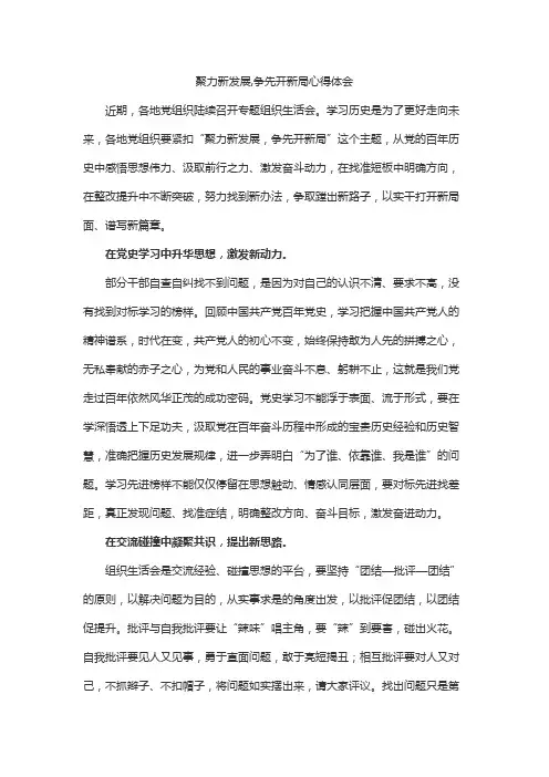 聚力新发展,争先开新局心得体会