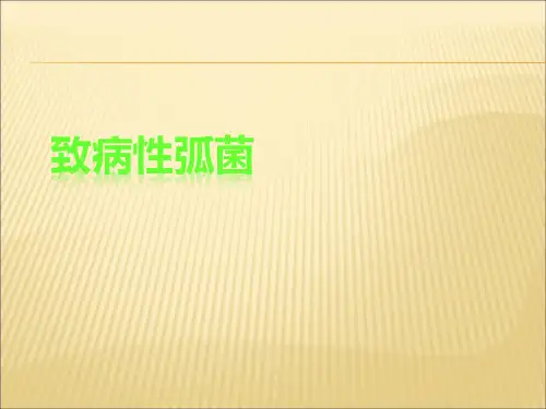 致病性弧菌