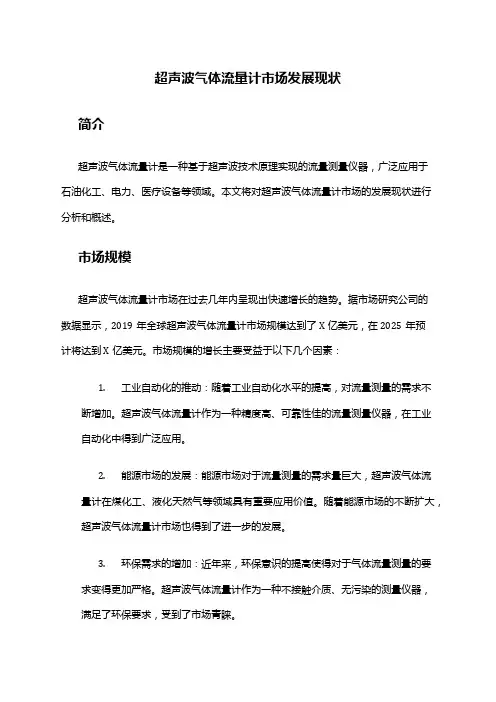 2024年超声波气体流量计市场发展现状