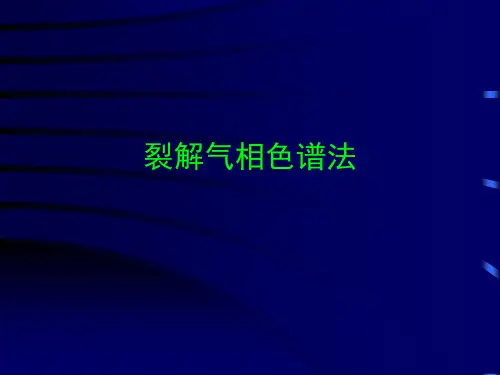 气相色谱法5-裂解气相色谱