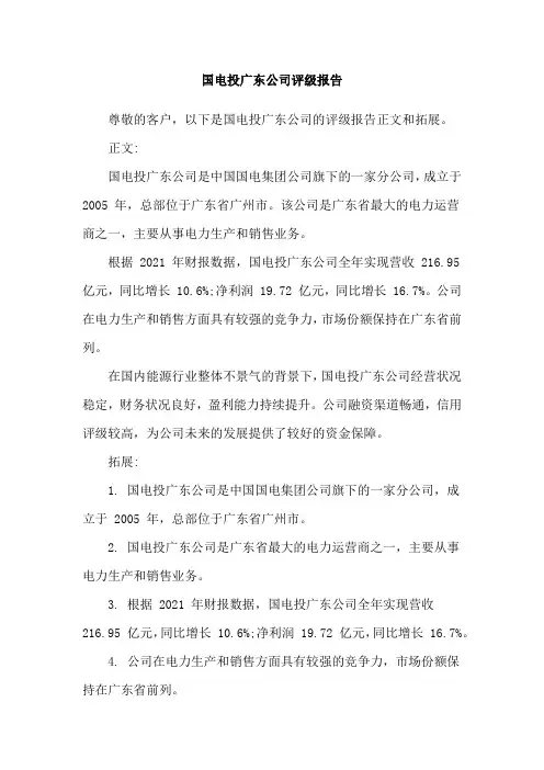 国电投广东公司评级报告