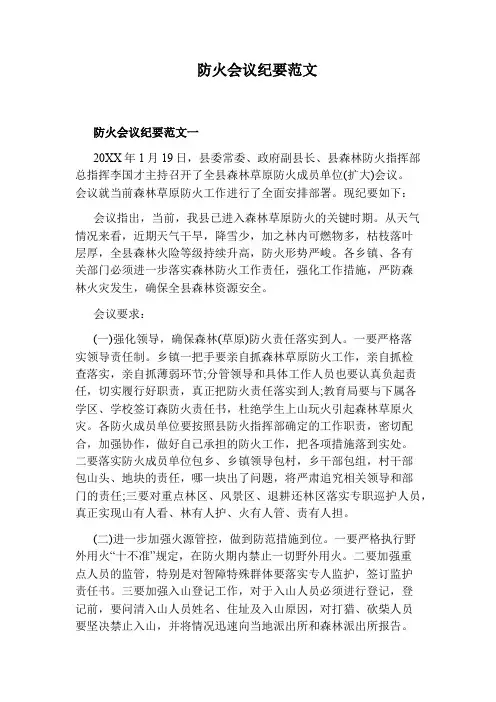 防火会议纪要范文