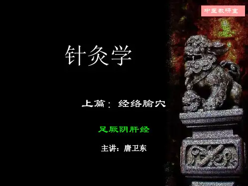 针灸学14足厥阴肝经