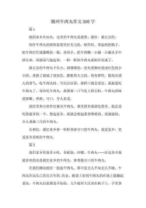 潮州牛肉丸作文500字