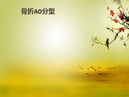骨折AO分型 