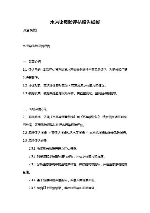 水污染风险评估报告模板
