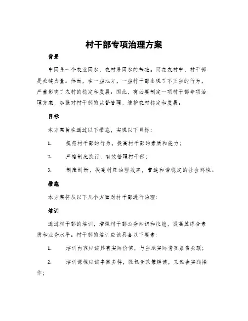 村干部专项治理方案