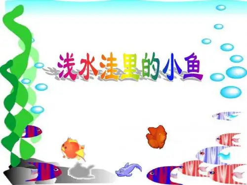 《浅水洼里的小鱼》PPT课件