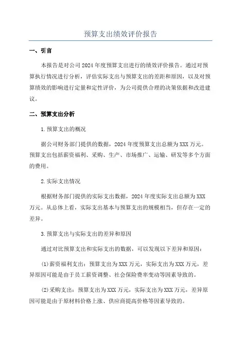 预算支出绩效评价报告