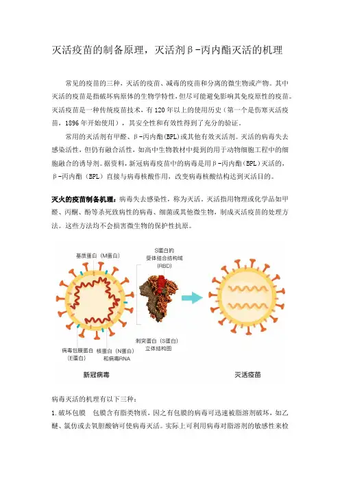 灭活疫苗的制备原理,灭活剂β-丙内酯灭活的机理