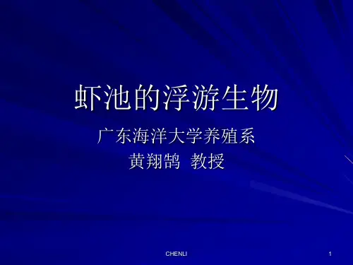 关于虾池的浮游生物海大版