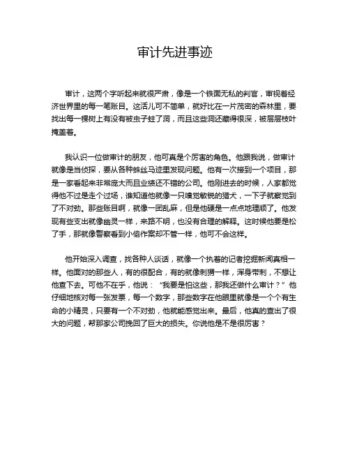 审计先进事迹