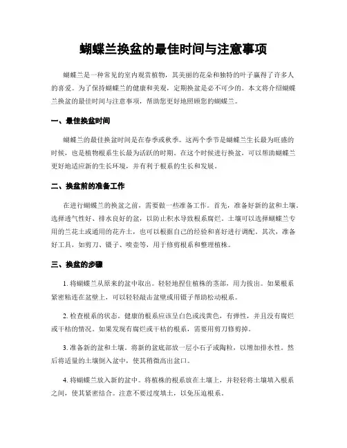 蝴蝶兰换盆的最佳时间与注意事项