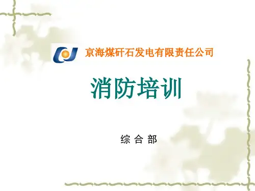 某发电公司消防培训(ppt 30页)