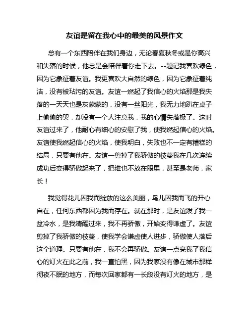 友谊是留在我心中的最美的风景作文