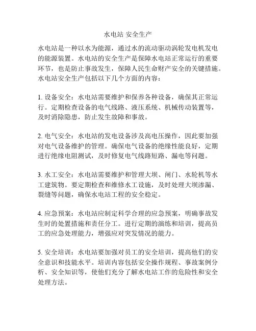 水电站 安全生产
