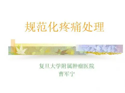 规范化疼痛处理