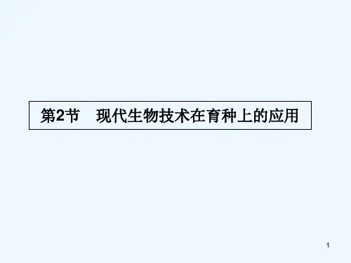 现代生物技术在育种上的应用-PPT课件