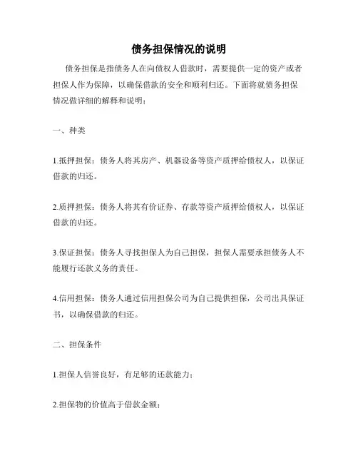 债务担保情况的说明