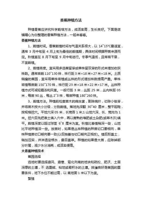 香蕉种植方法