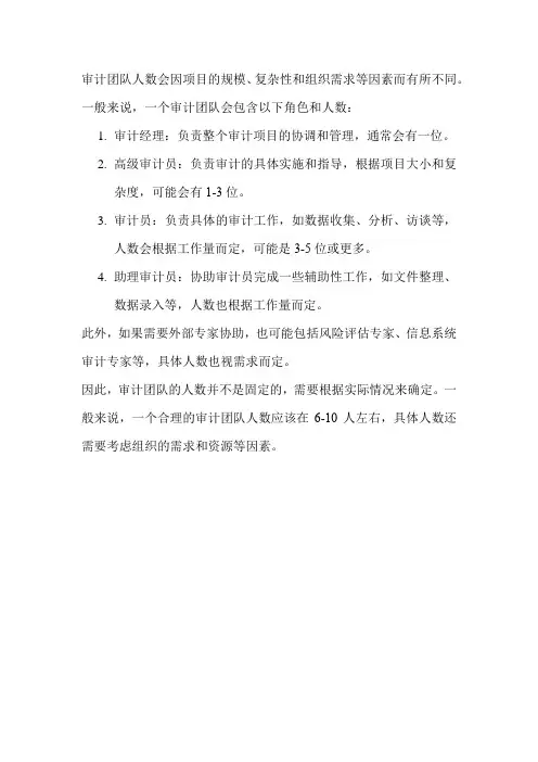 审计团队人数