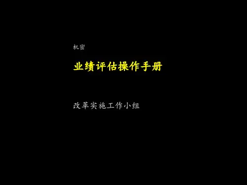 业绩评估操作手册