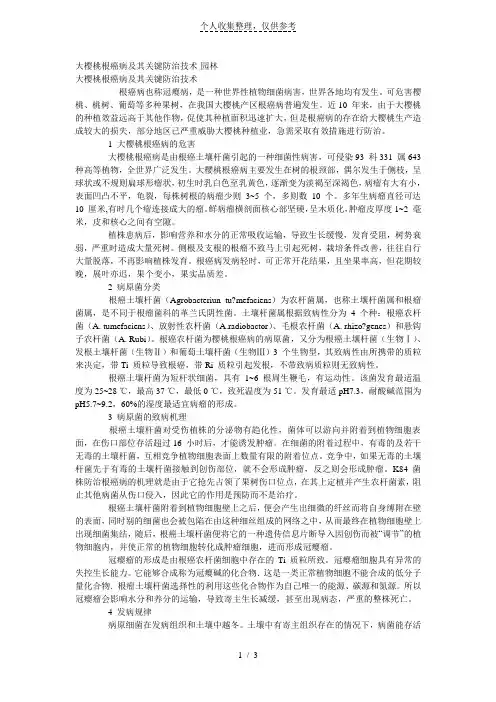 大樱桃根癌病及关键防治技术