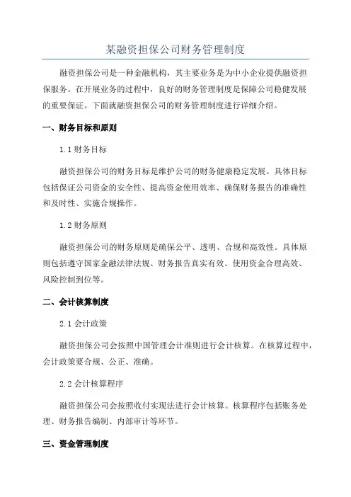 某融资担保公司财务管理制度
