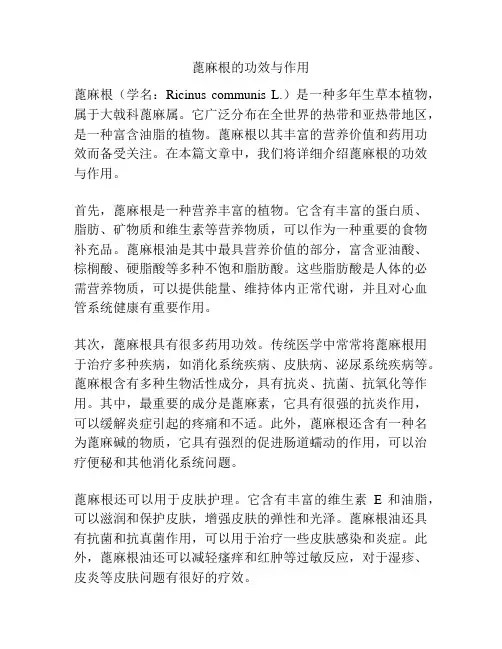 蓖麻根的功效与作用