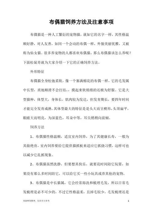 布偶猫饲养方法及注意事项