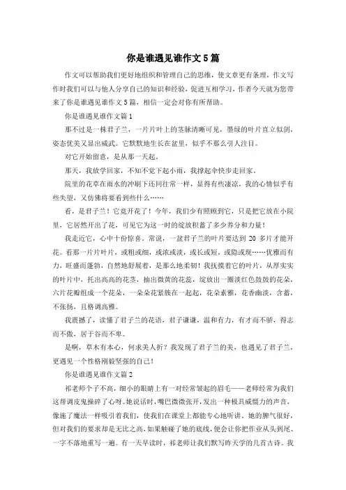 你是谁遇见谁作文5篇